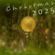 Christmas 2025