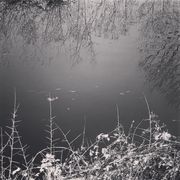 Núvol de fum 497 | final de temporada (end of season)