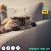 Dinglejam Radio #295