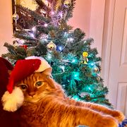 Ugly Transition Party (Mt. Yusef B2B MAAHEEM)