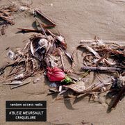 A’bleiz Meursault : Craquelure