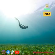 Dinglejam Radio #352