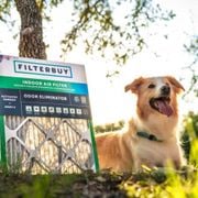 Best 18x18x2 Air Filter for Allergies Near Me | Reduce Dust & Pollen for a Healthier Home