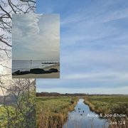 Alice & Joe Show: January '24