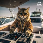 Summer dance Tech Mix
