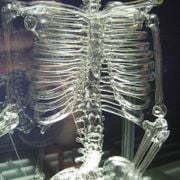 Electraumatisme du 29/10/2025