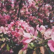 Monday Morning Mixtape 126: curated by Lefto