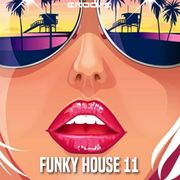 Groove Funky House 11