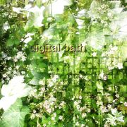 Digital Bath (09.17.23)