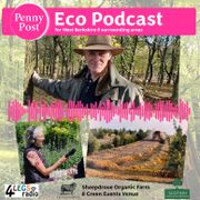 The Local Eco Show - 15th November 2024