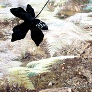 digital bath (12.17.23)