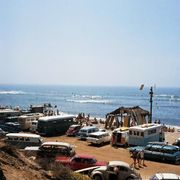 Sea Dub, Sex & Reggae Sun