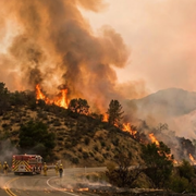 Why Are Wildfires Common in California?