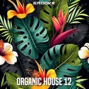 Groove Organic House 12