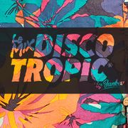 Discotropic mix by Jankev (Avril - mix #29)