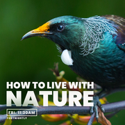 How To Live With Nature – Brought to you by Zealandia – 20/10/2023