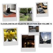 Cloudland Blue Eclectic Selection 2026 Vol 13
