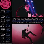 The Labyrinth w/ Soneido feat Llloyd (01.23.23)