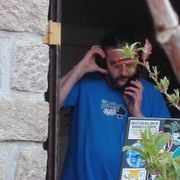 Mix à la Fenetre N10 New Pope selection