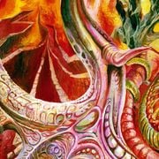 A Fist in the Face of God presents: Midnite Madness - CCV - Death to this World - 8th October 2025