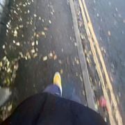 Squid: 9th November '23