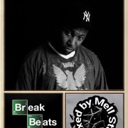 Break Beats Compilations  Vol.1 The Next Level
