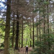Rhiannon_023_09.24