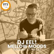 Mellow Moods - 03-02-2026
