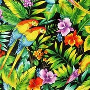 > brazilian carnival selection [roots brazil/samba/frevo/bahia]