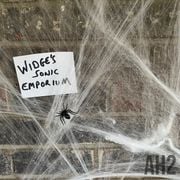 Widge's Sonic Emporium After Hours #2 (Halloween 2024 #4)