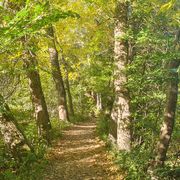 Trigger 21 oktober 2023