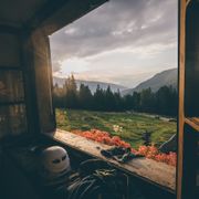 The Peace