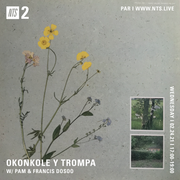 NTS Radio: Okonkole Y Trompa guest mix (24/02/21) ARCHIVED