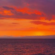 RAR | Polyphonia Project 'Purple Fluffy Clouds'