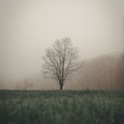 Folk Show: Episode 72