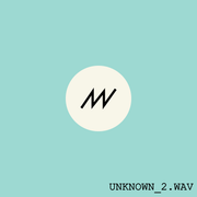 Unknown 2