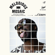 MELODIOUS MOSAIC RADIO SHOW #17 - 13/04/2026