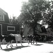 Edition Festival // Anton Lukoszevieze & Apartment House (Interview)