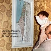 Learning Palestine: Until Liberation I