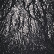 Núvol de fum 466 | mixtape de difunts