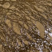 The Institute of Spectra-Sonic Sound 1.3.26