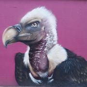 Organic Vibes 01.08.2025