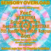 Sensory Overload 3-3-19