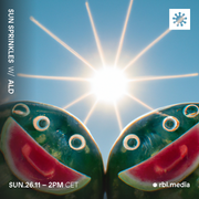Sun Sprinkles - 26th November 2023