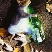 Winterman - Club Is Not Over Mix