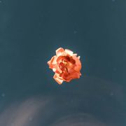 Mac L - 90s Essential Mix