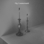 Somersault with Nick Rissmeyer 12.15.23