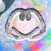 CMR129 - Informal Behaviour - NFT