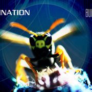 Vaxination - Bumbling Loon