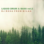 DJ Rosa from Milan - Liquid Drum & Bass vol.2